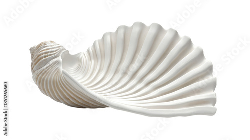 Seashell 3D render icon isolated on white background