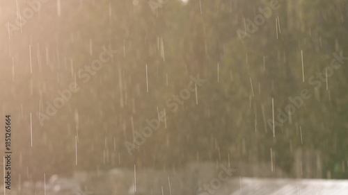 Sun shower: Warm summer rain falling during golden hour in slow motion with lens flare