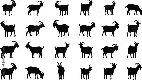 Goat silhouette collection, animal poses vector, horned goat artwork, farm livestock icon set, black illustration, wildlife graphic concept