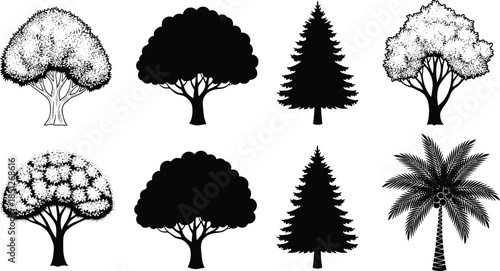 Tree illustration set, botanical elements, forest icons, foliage variety, silhouette trees, nature graphics, plant collection, tropical, deciduous, coniferous