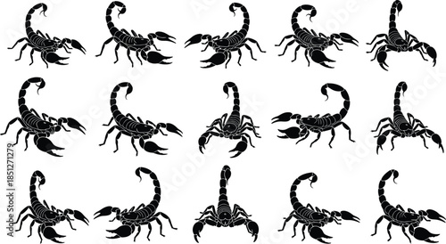 Scorpion silhouettes set in different poses flat black vector illustration collection isolated on white background wildlife symbol concept