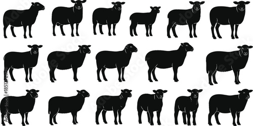 Sheep silhouette collection featuring farm animal livestock poses, black rural mammal icons, agricultural vector illustration isolated on white background