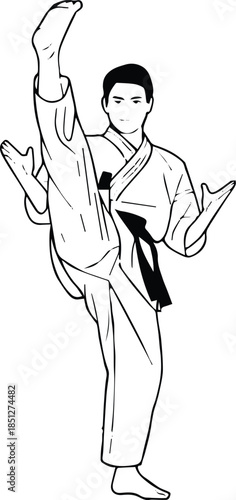 taekwondo front kick silhouette vector martial artist in dobok stance