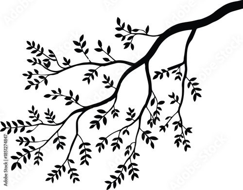 branch vector illustration leaf silhouette for logo and print