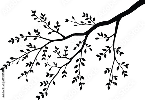 branch silhouette with leaves vector black on white background