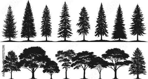 Collection of realistic tree silhouettes, black vector illustration of pine, fir and deciduous trees, forest nature landscape elements isolated on white background