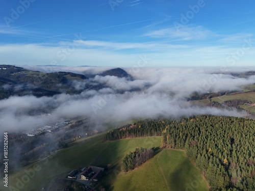 Nebelpoesie in Niederösterreich

