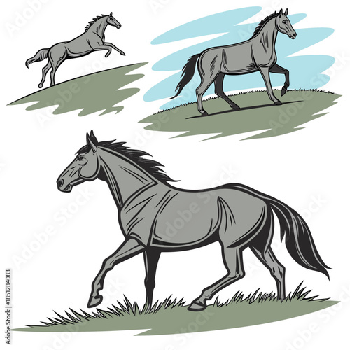 Three horses shown in various stances