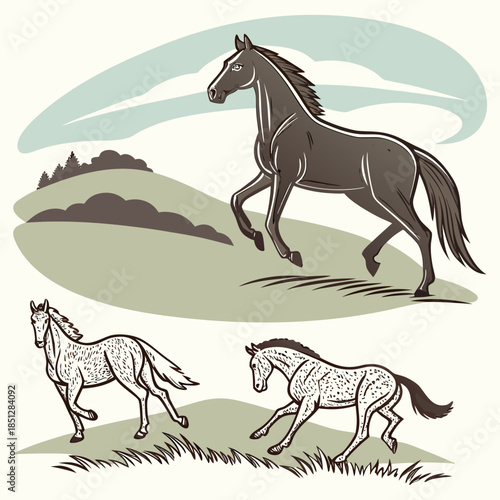 Three horses shown in various stances