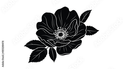 Black and white line of a rose with detailed petals and leaves 1