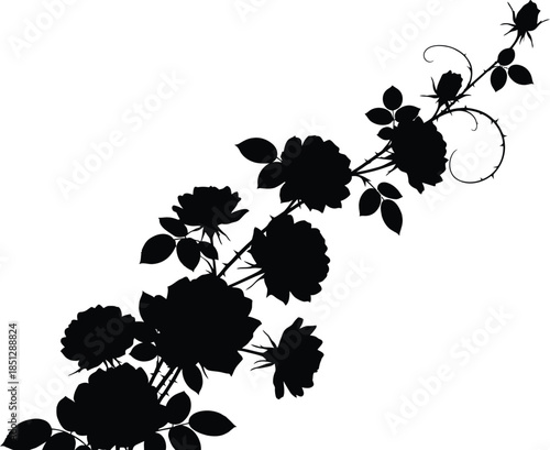 Black rose silhouette with thorns and leaves on white background