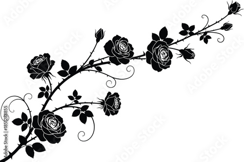 Black roses on a vine with leaves and thorns