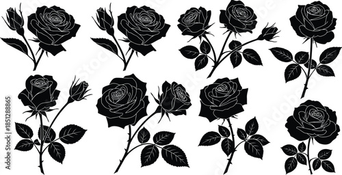 Black roses with leaves in style stems thorns
