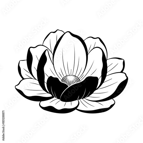 Black and white lotus flower