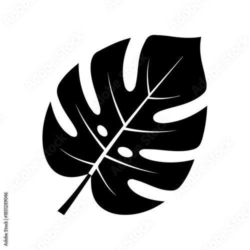 Black and white tropical leaf