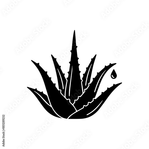 Aloe vera plant silhouette