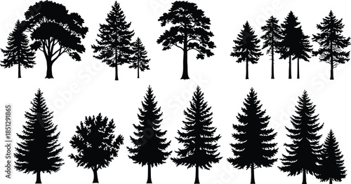 Tree silhouettes collection, forest shapes, botanical diversity, coniferous and deciduous trees, nature elements, landscape design, foliage patterns, educational illustration, black silhouettes