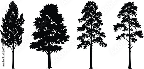 Tree silhouettes, forest illustration, botanical shapes, nature design, conifer outline, deciduous tree, landscape element, foliage graphic, woodland art, vector trees
