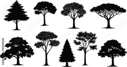 Tree silhouettes collection, forest shapes, botanical diversity, canopy variations, landscape design elements, nature illustration, tree morphology, vector trees, foliage types, artistic trees