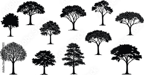 Tree silhouettes, forest shapes, botanical diversity, nature icons, foliage forms, landscape design, graphic trees, black silhouettes, plant species, artistic trees