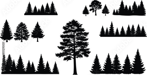 Tree silhouettes, forest shapes, coniferous trees, deciduous trees, black trees, nature icons, woodland graphics, pine outlines, landscape elements, vector trees
