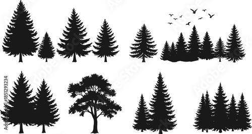 Tree silhouettes, pine forest, fir trees, nature scene, woodland shapes, flying birds, black trees, landscape elements, isolated trees, vector illustration