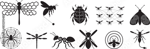 Diverse insect and arachnid silhouettes featuring dragonfly, beetle, ant, spider, and more Vector