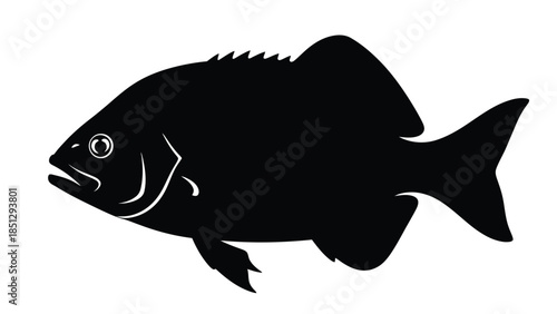 Black and white fish silhouette with whiskers and detailed fins