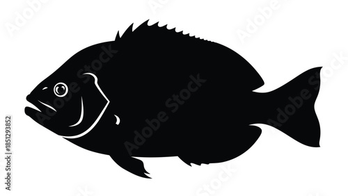 Black and white fish with whiskers and smiling expression smile
