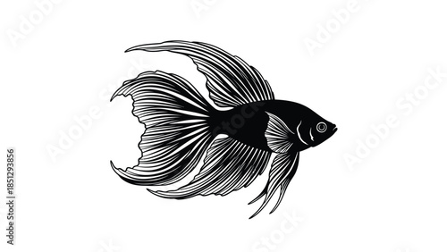 Black and white of a fish with long flowing fins aquatic