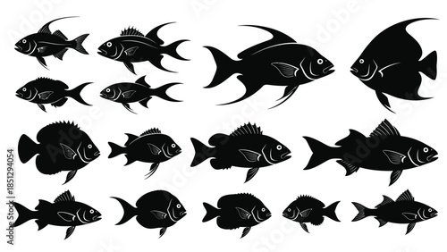Black silhouettes of various fish species in different poses white marine