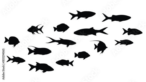 Black silhouettes of various fish swimming in different directions aquatic