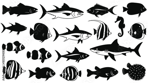 Collection of black and white fish and sea creature silhouettes creatures