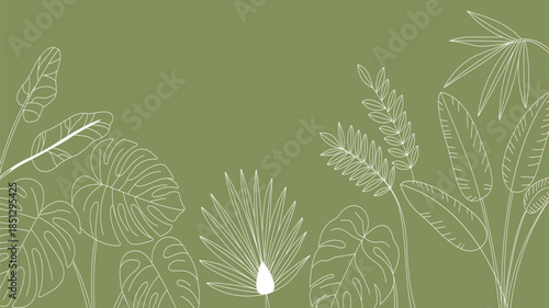 Vector illustration white line art dandelion seed head and leaves on green background