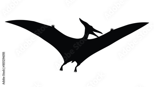 Black silhouette of a pterosaur flying with wings spread wide