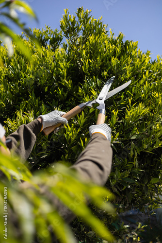 Gardening professional performing hedge pruning with an electric trimmer in a home garden environment.