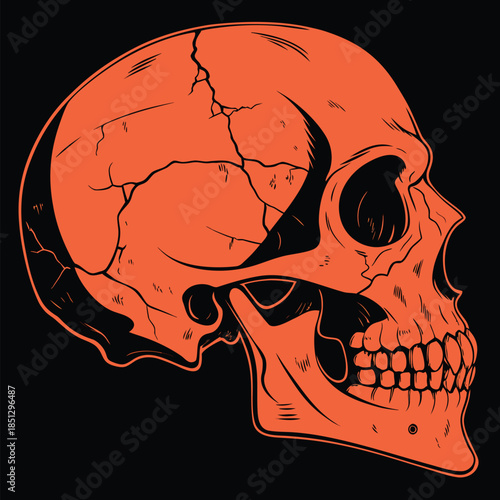 Cracked human skull illustration on black background Vector