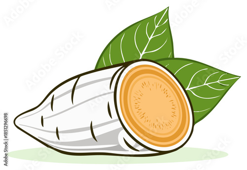 White Root Vegetable with Orange Center and Green Leaves Illustration