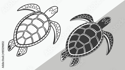 Turtle silhouette illustration on white and gray background Vector
