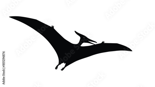Silhouette of a Pterosaur Flying in the Sky prehistoric animal