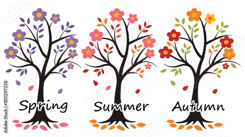 Three trees representing spring summer and autumn seasons Vector