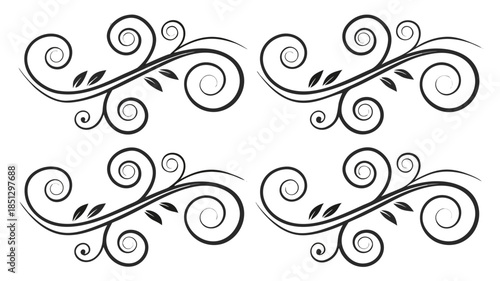 Beautiful black floral swirls on white background Vector