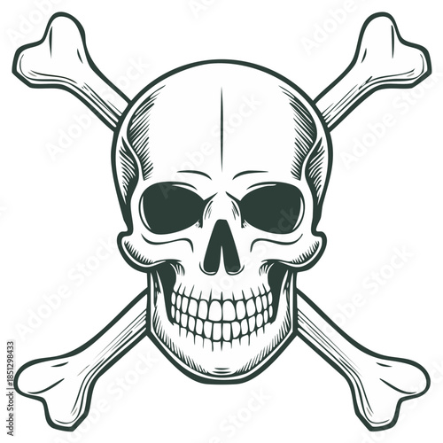 Classic engraved human skull and crossbones symbol illustration, representing danger or piracy.