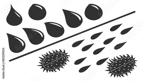 Water droplets falling on spiky fruits Vector