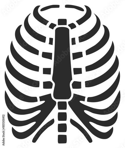 Human Thoracic Rib Cage Anatomy Skeleton Bones Outline Icon Vector