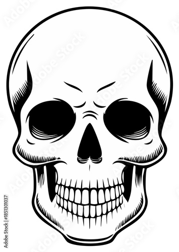 Stylized Black and White Human Skull with Intense Expression and Detailed Dentures