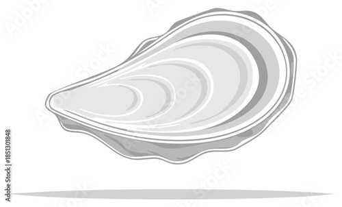 Stylized gray oyster shell with flowing curves and shadow