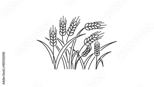 Vector illustration of yellow wheat ears and green bamboo leaves isolated on a white background for nature and agriculture design patterns