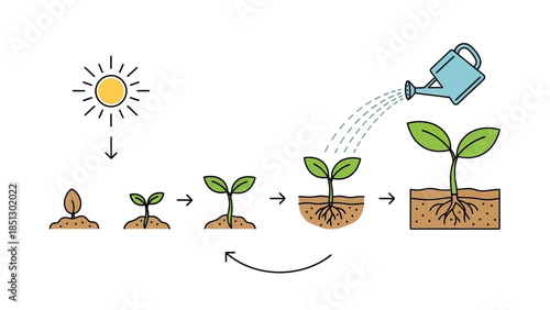 Spring flowers in a pot and vase represent a growth concept featuring green leaves and sprouts as a nature illustration symbol for eco life and environmental design