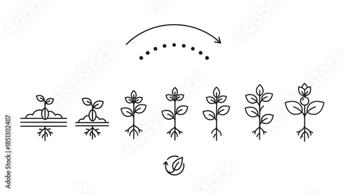 Vector illustration of a business icon set including a parachute and black floral silhouette elements such as butterflies and summer leaves for nature tattoo design